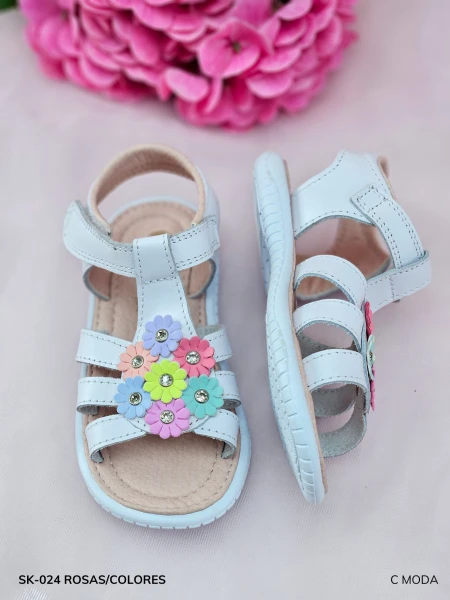 SK-024 ROSAS/COLORES