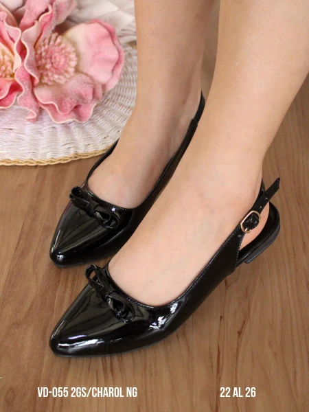 VD-055 2GS/CHAROL NG