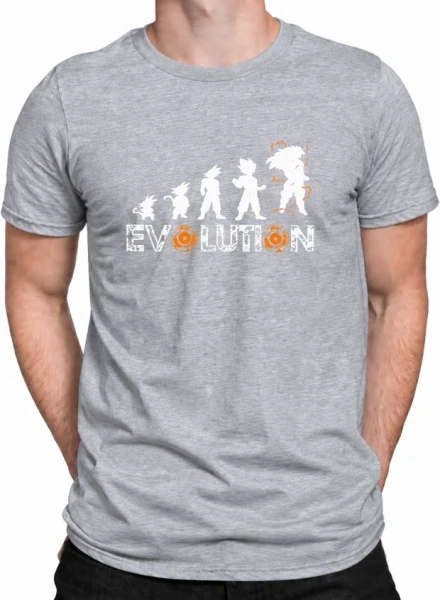 PLAYE-531 EVOLUTION/GRIS