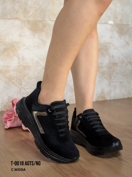 T-0018 AGTS/NG