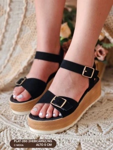 PLAT-260 2HEBCARNZ/NG