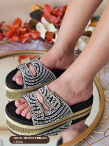 SRESI078-CHIPIEDR/NG