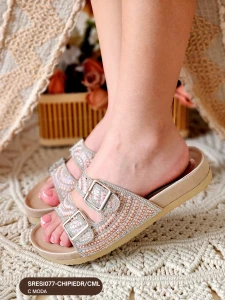 SRESI077-CHIPIEDR/CML