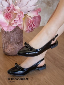 VD-055 2GS/CHAROL NG